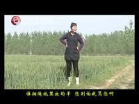 民间小调《风流婆婆偷儿媳》