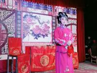 湖南花鼓戏《白兔记》全集下载