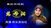 秦腔《慈母泪》全本下载