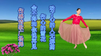 玫香广场舞DJ版《舍不得和你说再见》《动了