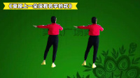 美久广场舞《草原上一朵没有名字的花》背面演示教学下载