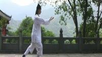 武当太极拳十三式教学 陈师行下载
