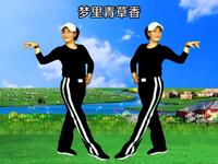 金凤凰广场舞《梦里青草香》附口令分解详细