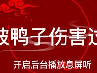 被鸭子伤害过
