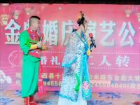 东北二人转《黄氏女游阴》下载