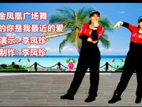 金凤凰广场舞《最远的你是我最近的爱》潮流