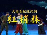 大型秦腔现代剧《红梢林》全本下载