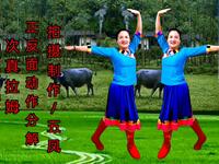 凤姐广场舞《次真拉姆》正反面动作分解完整