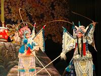婺剧青春版《穆桂英》全集 浙江婺剧团演出