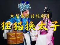 秦腔传统剧目《狸猫换太子》全本  宁夏演艺集团宁夏剧院下载