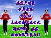 广场舞《虎虎生威虎虎生风》完整版