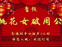 桃花女破周公 全集