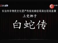 上党梆子《白蛇传》全集 长治市上党梆子剧