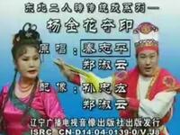 二人转《杨金花夺印》下载