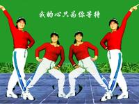 金凤凰广场舞《我的心只为你等待》简单好学