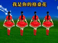 民族风广场舞《我是你的格桑花》