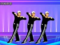 金凤凰广场舞《为爱受尽相思罪》最新版64步