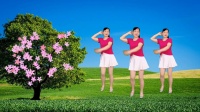 玫香广场舞《还没有爱够》正背面演示好看易