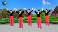 广场舞《对你的承诺永远不会变》附教学口令