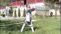 易筋经动功十二式A