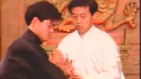 陈式太极拳大全(二)陈正雷下载