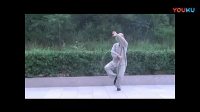 李占英正宗杨氏太极拳85式教学（全）下载