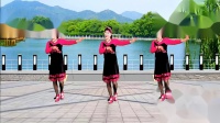 吕芳广场舞《昨夜梦里都是你》正背面及分解