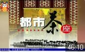 种房子下载