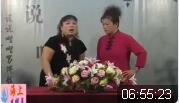 河南坠子《少国公私访》全集