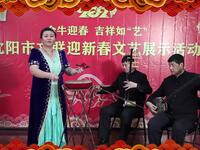 东北大鼓《小两口争灯》下载