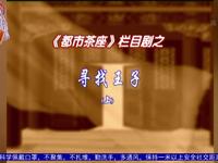 寻找王子下载