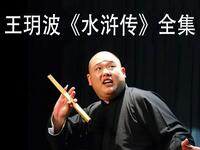 王三皮评书 水许传第二回 王教头夜走延安府