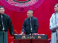 年轻马大赛