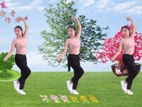 DJ广场舞《老妹你真美》《花越美越想你》《