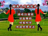 广场舞《醉美三月桃花开》背面演示