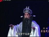 扬剧《衣冠风流》