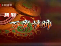 扬剧《百岁挂帅》