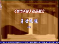 身世之谜下载