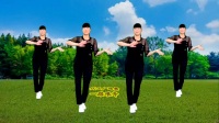 代玉广场舞《一路艰辛》好听入心