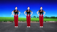 玫香广场舞《弹棉花》《青蛙叫》《梅花三弄