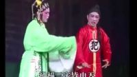白字戏《金殿配》全剧