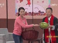 康庄趣事儿
