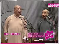 树没叶下载