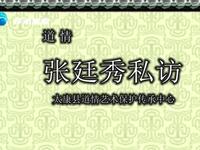 道情《张廷秀私访》