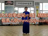 《陈氏太极拳老架一路》精髓揭秘下载