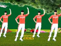 dj广场舞《怪就怪》好听极了