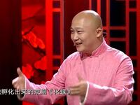 如果我是祝英台下载