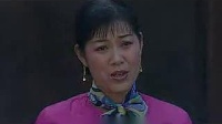 借腹生子