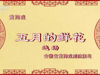 黄梅戏《五月的鲜花》全集下载