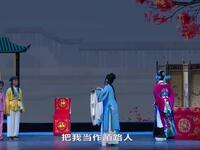 黄梅戏《双插柳》全集下载